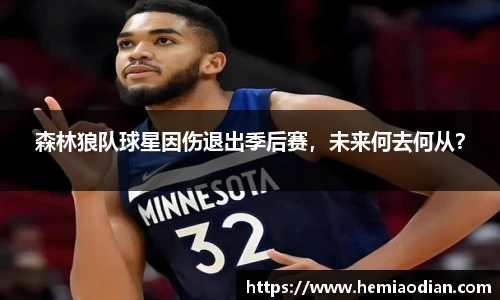 森林狼队球星因伤退出季后赛，未来何去何从？