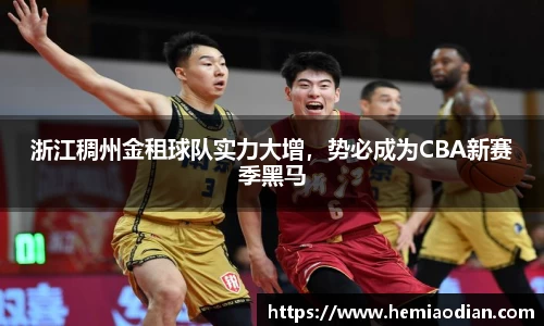 浙江稠州金租球队实力大增，势必成为CBA新赛季黑马