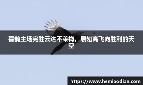 喜鹊主场完胜云达不莱梅，展翅高飞向胜利的天空