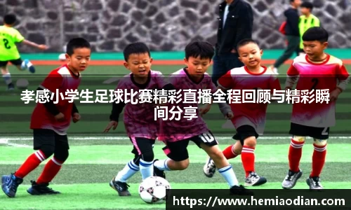孝感小学生足球比赛精彩直播全程回顾与精彩瞬间分享